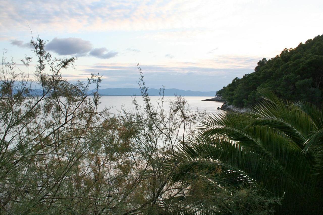 Seaside Secluded Apartments Cove Smokvina, Hvar - 4036 Bogomolje Eksteriør billede